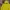 Billionaire Boys Club Vintage Streetwear Hoody Pria yellow photo 4