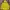 Billionaire Boys Club Vintage Streetwear Hoody Pria yellow photo 3