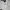 Billabong Vintage Hoody Pria White Cream