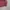 Kolon Sport Sportswear Windbreaker Pria red photo 2