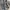 Patagonia Casual Hoody Pria gray photo 4