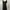 Coquette Jumpsuit Wanita black photo 3