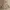 Y2K Fairy Skirt Wanita multicolor brown photo 3