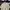 Crocodile Avant Garde Casual Polo shirt Pria tan photo 2