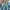 Uniqlo Y2K Sportswear Skirt Wanita blue photo 6