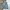 Uniqlo Y2K Sportswear Skirt Wanita blue photo 1