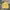 Grooverhyme Casual Sweatshirt Pria Yellow