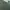 Burberry Vintage Luxury Sweatshirt Pria green photo 3