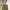 Billabong Vintage Y2K Mini skirt Wanita green photo 2