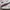 Puma Casual Sneakers Pria white cream photo 2