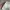 Vintage Y2K Skirt Wanita white photo 5