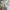 Vintage Y2K Skirt Wanita white photo 4