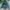 Vintage Sportswear Windbreaker Pria Green Navy