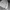 Converse Sportswear Windbreaker Pria white photo 3