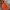 Asics Gorpcore Track jacket Pria orange photo 3