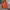 Asics Gorpcore Track jacket Pria orange photo 1