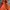 Asics Gorpcore Track jacket Pria orange photo 4