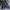 New Balance Sportswear Casual Suit Pria navy photo 1