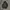Japanese brand Y2K Goth Fleece Wanita black photo 2