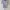 Executive Minimalist Shirt Wanita purple photo 1