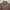 Penfield Vintage Streetwear Puffer jacket Pria brown photo 2
