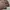 Penfield Vintage Streetwear Puffer jacket Pria brown photo 3