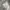 Casual Reworked Harrington jacket Pria multicolor gray photo 8