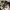 Y2K Grunge Hat Pria tan brown photo 2