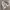 et cetera Vintage Harrington jacket Pria white gray photo 7