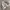 et cetera Vintage Harrington jacket Pria white gray photo 2