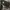Adidas Gorpcore Casual Puffer jacket Pria black photo 5
