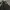 Adidas Gorpcore Casual Puffer Jacket Pria Black