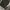 Adidas Gorpcore Casual Puffer jacket Pria black photo 4