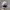 Von Dutch Indie Hat Pria purple photo 3