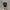 Von Dutch Vintage Hat Pria black photo 3