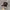 Von Dutch Vintage Hat Pria black photo 2