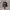Von Dutch Vintage Hat Pria black photo 1