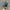 Von Dutch Vintage Hat Pria multicolor navy photo 2