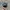 Von Dutch Vintage Hat Pria multicolor navy photo 3