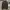 The North Face Casual Hoody Pria gray photo 1