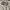 Converse Casual Hoody Pria gray photo 6