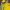 Gorpcore Windbreaker Pria yellow photo 2