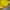 Gorpcore Windbreaker Pria yellow photo 4