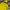 Gorpcore Windbreaker Pria yellow photo 3
