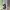 Polo Ralph Lauren Casual Hoody Pria white gray photo 4