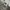 Nike Sportswear Casual Sneakers Wanita green gray photo 7