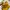Furla Casual Handbag Wanita yellow photo 3