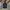 Y2K Casual Bomber jacket Pria white black photo 1