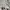 Polo Ralph Lauren Casual Sweater Pria white cream photo 6