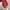Furla Casual Crossbody Bag Wanita red photo 3